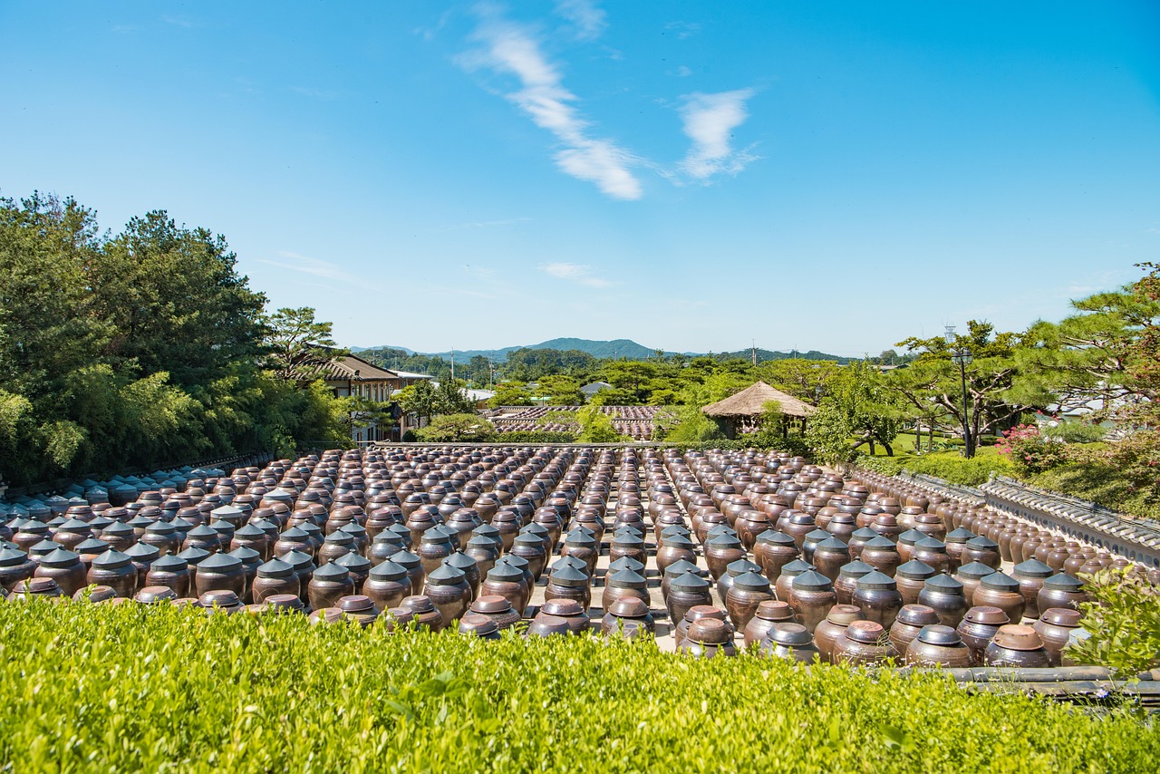 春野农夫新篇章，农业现代化的新征途探索