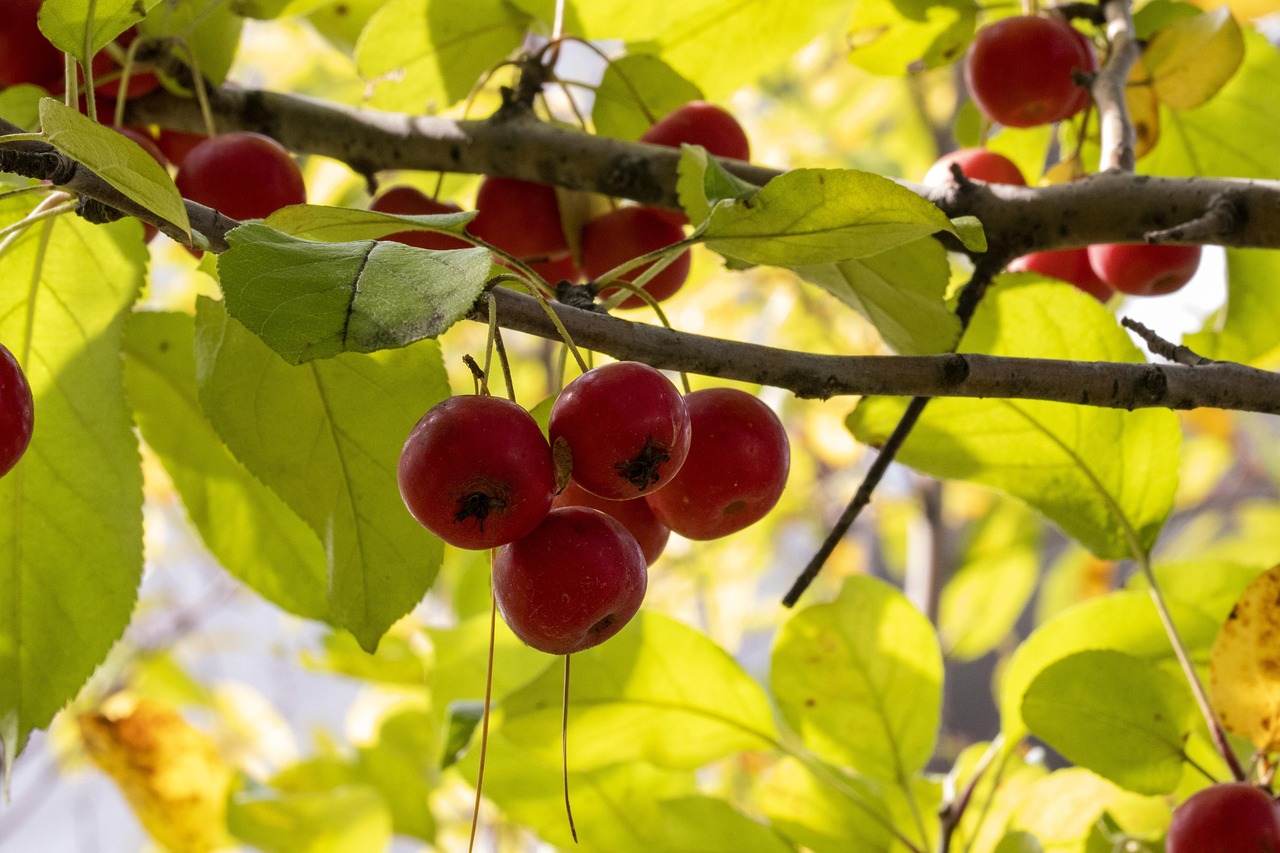 科技革新与社会变革的最新动态