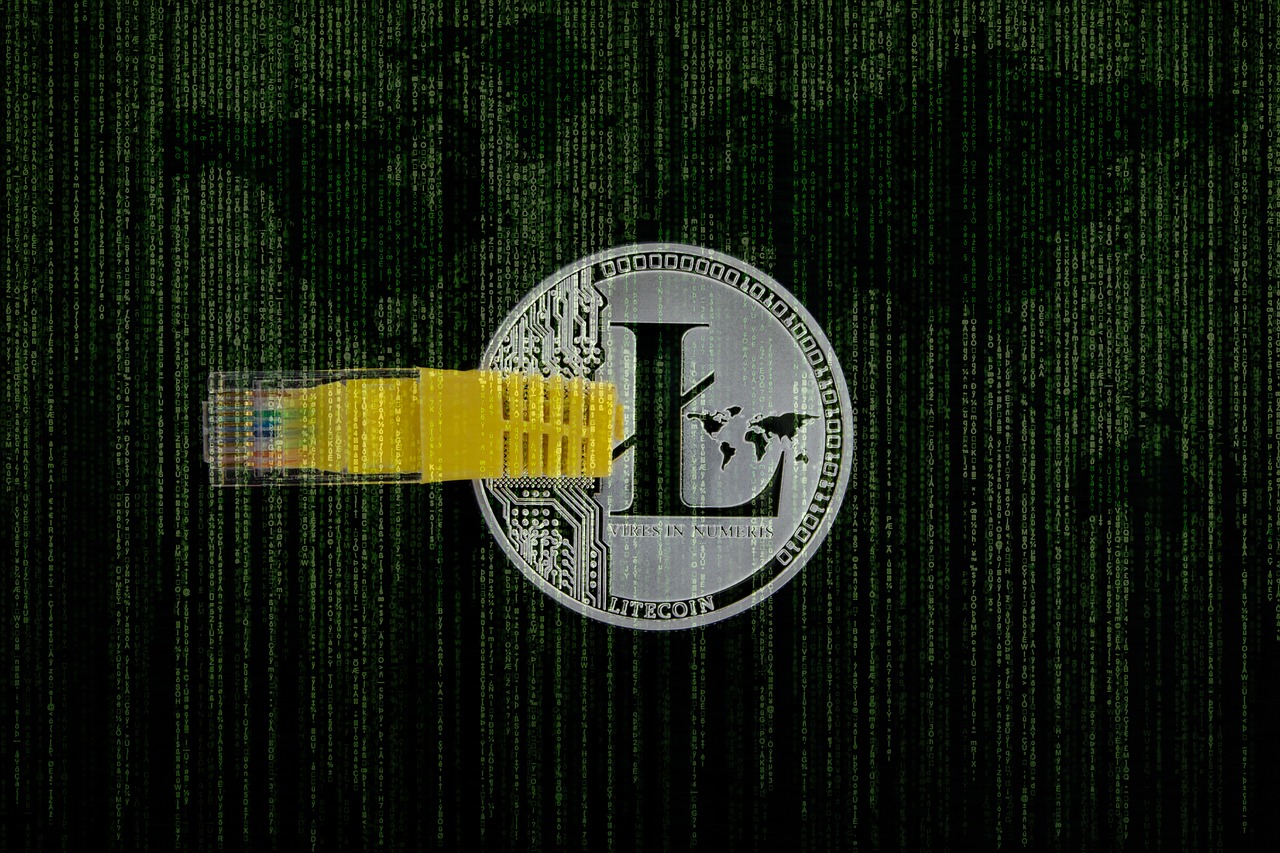 关于股票开头数字2的解析，这是什么类型的股票？