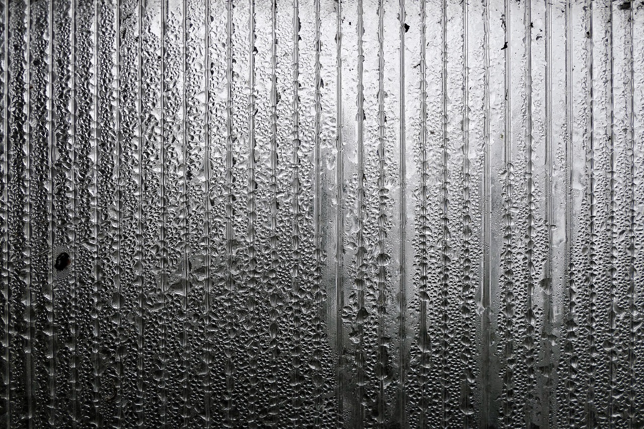 长沙暴雨最新动态，城市如何应对极端天气的挑战